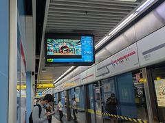 -大龙山(地铁站)