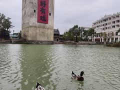 -赤坎·广东华侨国际旅游度假区