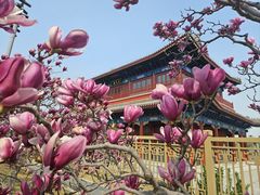 -西海子公园
