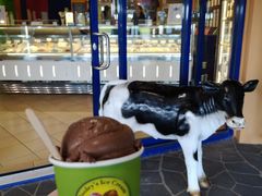 -Dooley's Premium Ice Cream