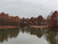 -上海海湾国家森林公园