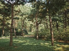 -北陵公园
