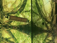 -大榕树下顺德菜(融创茂店)