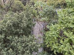 -佛山华盖山公园