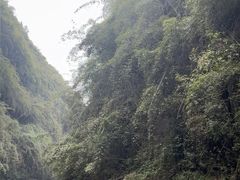 -阿依河景区