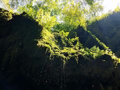 -华蓥山天意谷景区