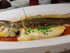 -维园悦谱·海派家常菜(乌鲁木齐南路店)