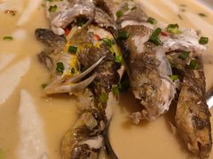 -巢爷老味(东方红店)