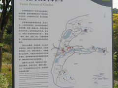 -云溪植物园