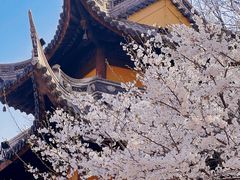 -龙华寺