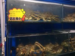 -蚝专家(北滘店)