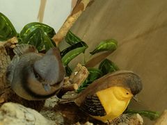 -湘当爱·鲜煮现炒(松岗立业路店)