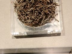 -青藏高原自然博物馆
