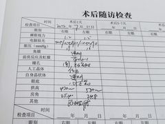-上海大学附属上海和平眼科医院