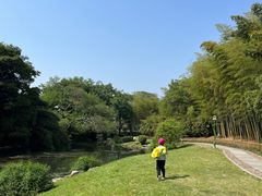 -杭州植物园