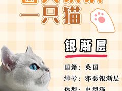 -lincat·猫舍(广州店)