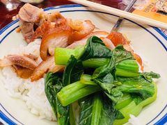 招牌猪脚饭-张卤堂·砂锅卤肘子(南头店)