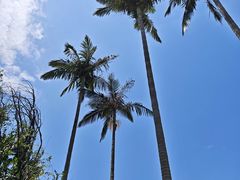 -西涌国际滨海旅游区