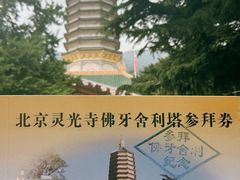 -八大处公园