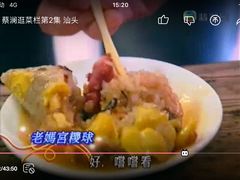 -老妈宫粽球