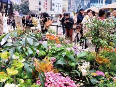 -龙湖重庆时代天街