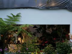 -自由生长植物工作室(深港花卉中心店)