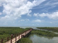 -北海金海湾红树林生态旅游区