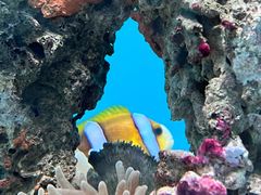 -横店影视城梦幻谷园区