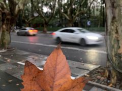 -也枫·小黄楼(南山路旗舰店)