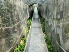 -蓟州溶洞风景区