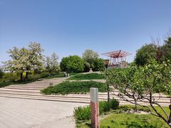 -大望京公园