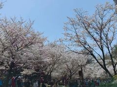-堤角公园