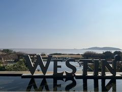 -舟山朱家尖绿城威斯汀度假酒店