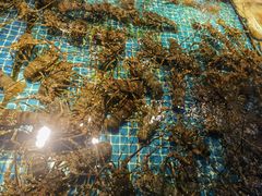 -驻海渔市(置信店)