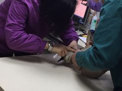 -爱侣·安琦尔宠物医院·中兽医针灸·心内科·狂犬免疫点(宝山区院)