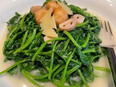 上汤豆苗-新荣记(南京西路店)