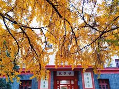 -四川大学(望江校区)