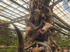 -呀路古热带植物园