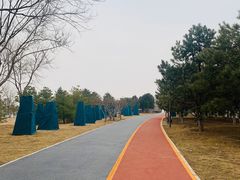 -大兴滨河森林公园