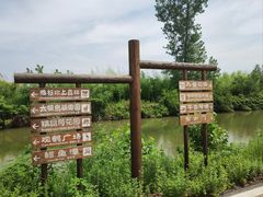 -池杉湖湿地公园