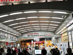 -秋叶原电器街