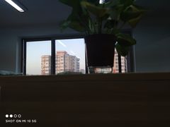 -锦鲤学社·自习室(角门西店)