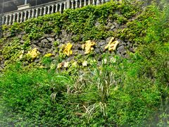 -白云源风景区
