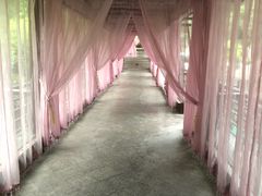 -明月山天沐温泉度假村