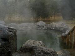 -和园景逸大酒店朗月汤泉