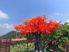 -东莞观音山旅游风景区