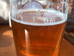 -Boxing Cat Brewery拳击猫精酿啤酒馆(永福店)