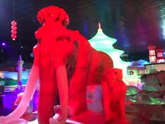 -石家庄市植物园