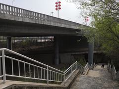 -白水寺森林公园