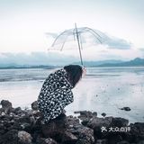 深圳湾-约拍宝藏角落